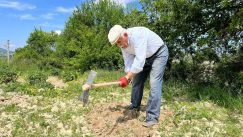 80 yaşında tarlada gençlere taş çıkartıyor: “Çalışmadan duramıyorum”