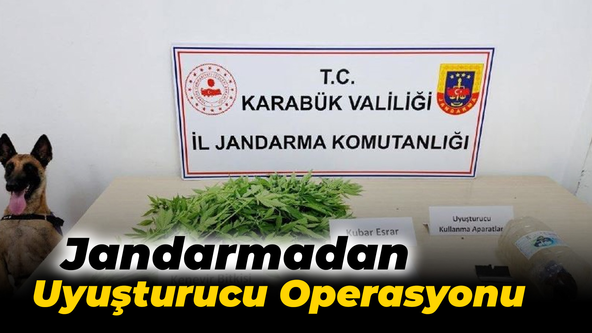 Karabük Jandarmadan uyuşturucu operasyonu