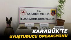 Jandarmadan uyuşturucu operasyonu