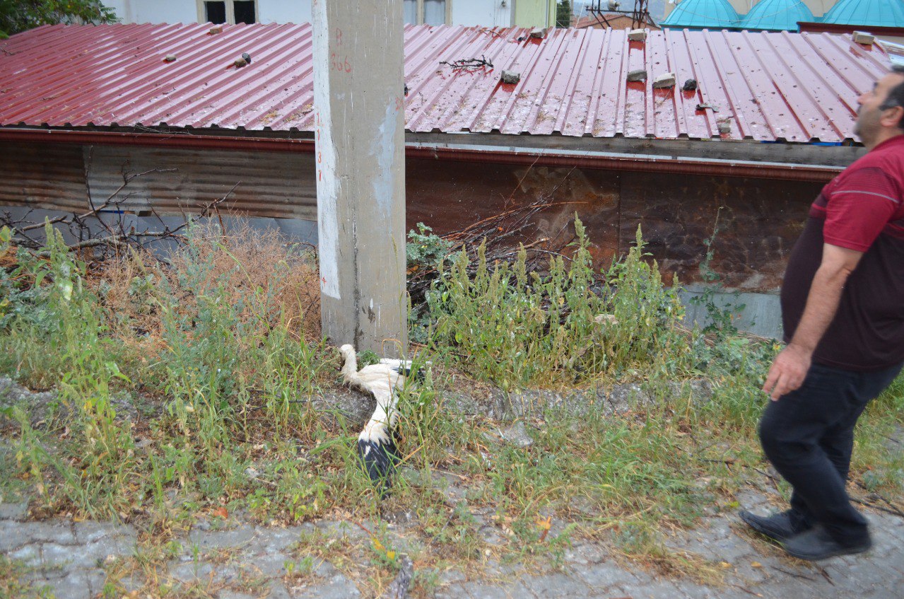 Sağlık Bakanı Kemal Memişoğlu, Rize’de esnaf ziyaretinde bulundu: