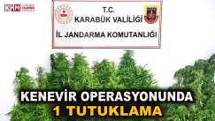 Kenevir operasyonunda 1 tutuklama