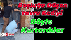 Boşluğa Düşen Yavru Kediyi Böyle Kurtardılar