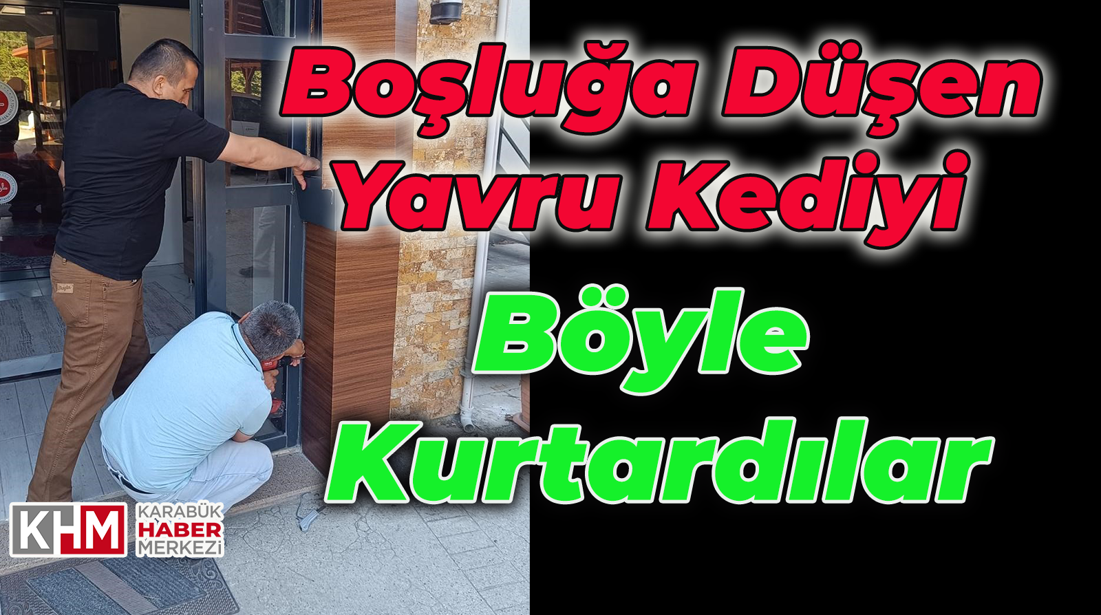 Boşluğa Düşen Yavru Kediyi Böyle Kurtardılar