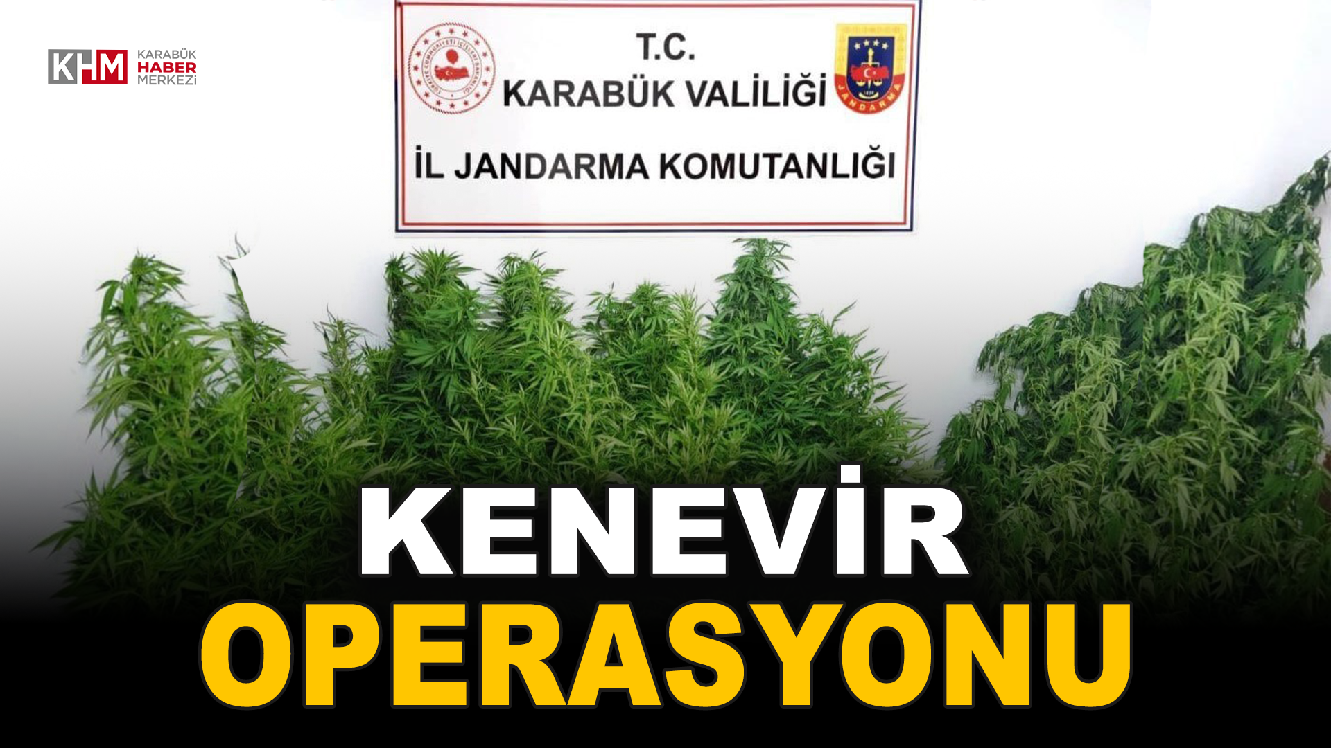 Jandarmadan Kenevir Operasyonu