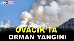 Karabük’te Orman Yangını