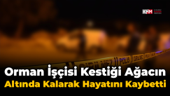 Orman işçisi kestiği ağacın altında kalarak hayatını kaybetti