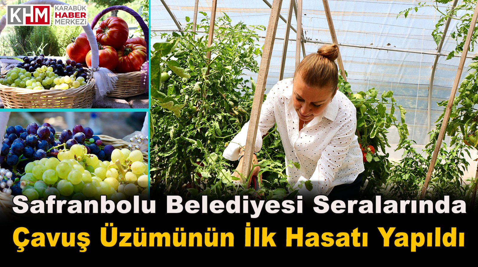 Safranbolu Belediyesi Seralarında Çavuş Üzümünün İlk Hasadı Yapıldı