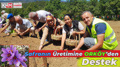 Safranın Üretimine ORKÖY’den Destek