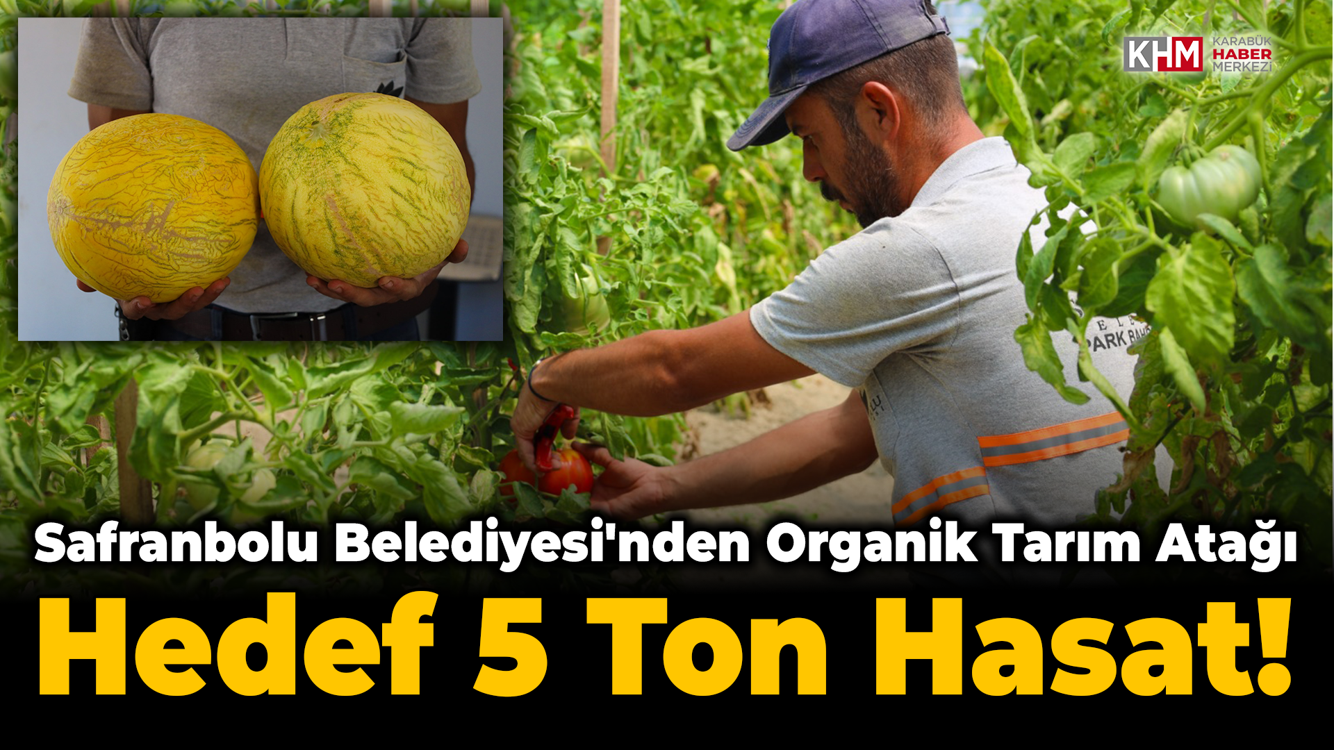 Hasatta hedef 5 tonun üzerinde!