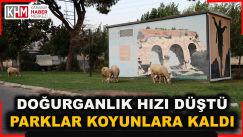 Karabük Doğurganlık Oranının En Düşük Olduğu İller Arasında