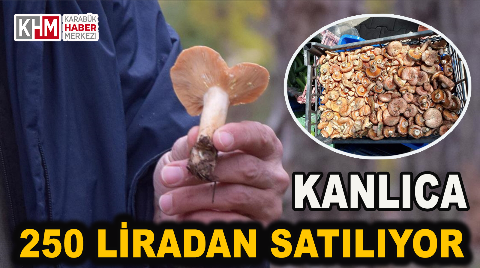 Kanlıca Mantarı 250 Liradan Tezgahtaki Yerini Aldı