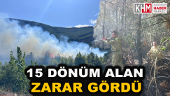 Karabük’te Çıkan Yangında 15 Dönüm Alan Zarar Gördü