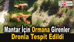 Yasağa Rağmen Mantar Toplamak İçin Ormana Girenler Dronla Tespit Edildi