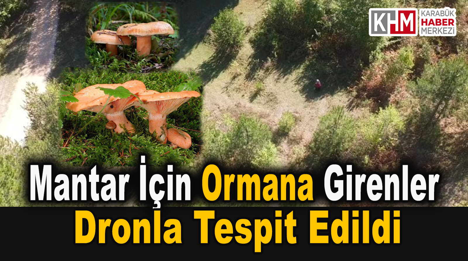 Yasağa Rağmen Mantar Toplamak İçin Ormana Girenler Dronla Tespit Edildi