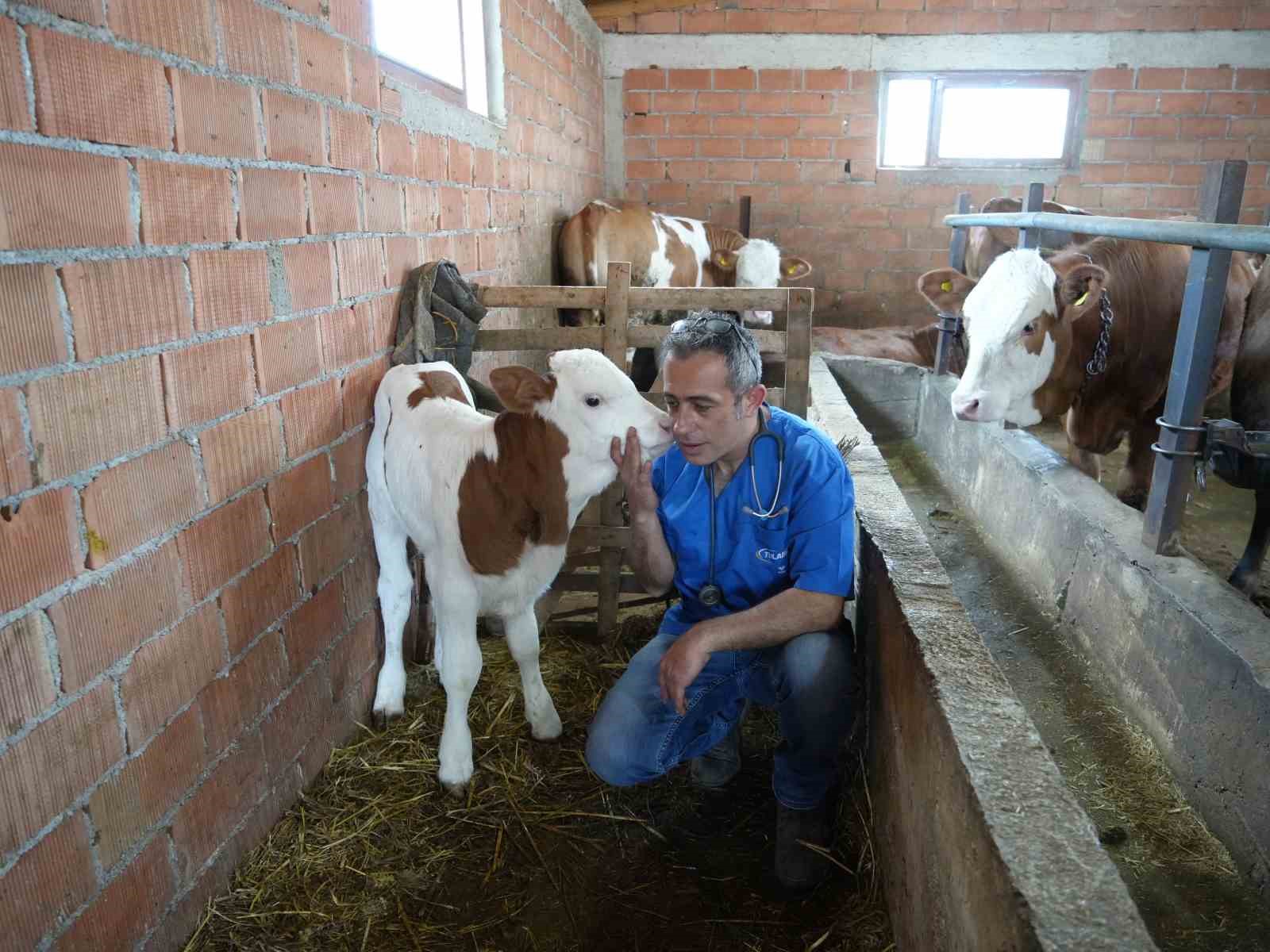 Hayvan sevgisi için hemşireliği bırakıp veteriner hekim oldu