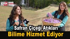 Safran Yaprağı Atıkları Bilime Hizmet Ediyor