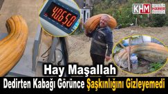 Bahçesinde yetişen kabağı görünce şaşkınlığını gizleyemedi