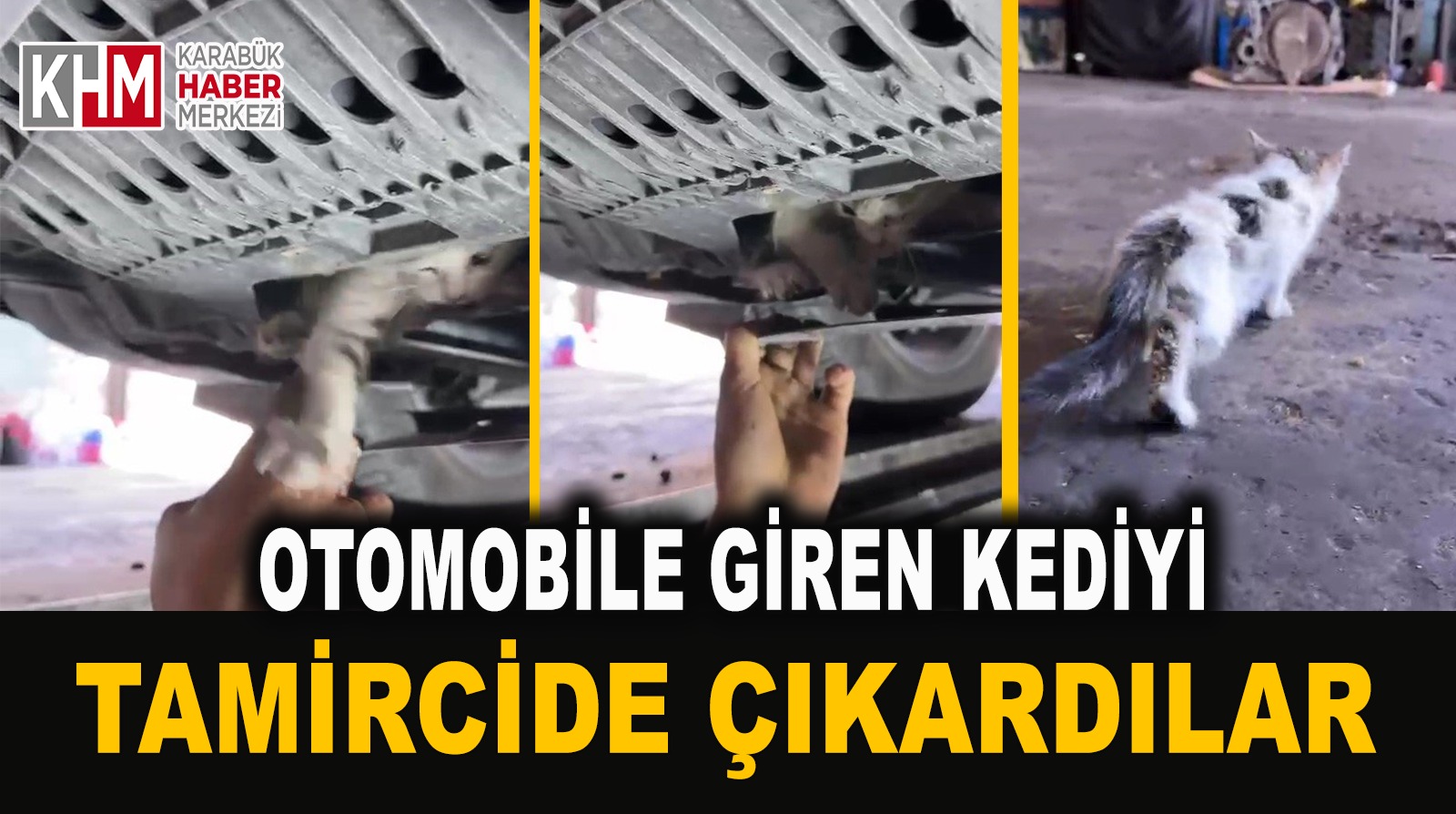 Otomobile giren kediyi tamircide çıkardılar