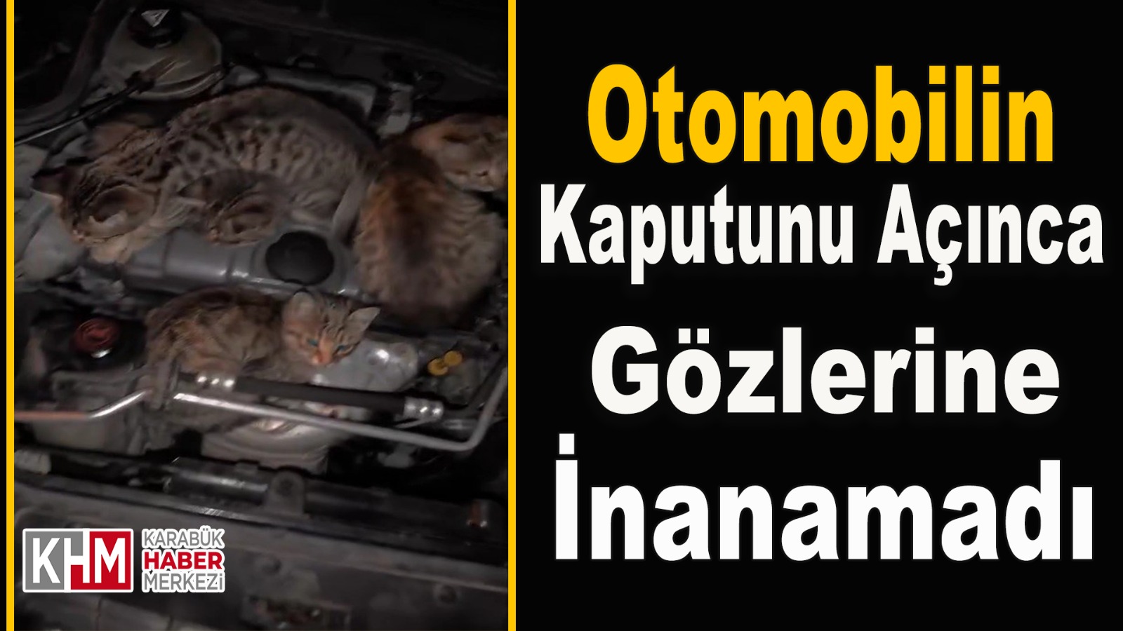 Otomobilin kaputunu açınca gördüğü manzaraya inanamadı