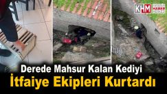 Derede mahsur kalan kediyi itfaiye ekipleri kurtardı