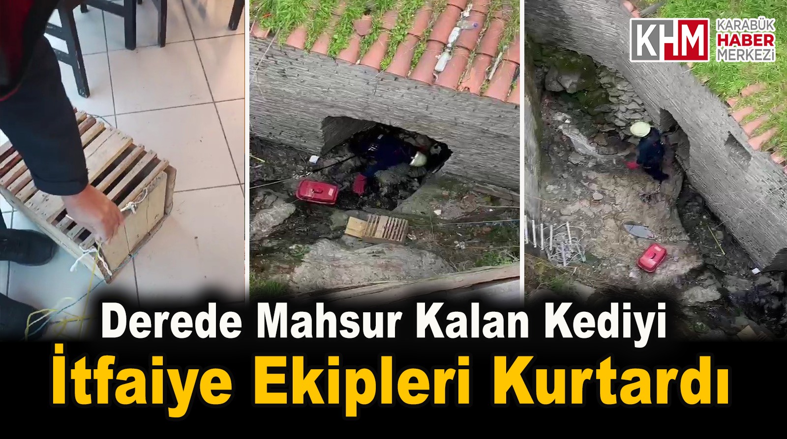 Derede mahsur kalan kediyi itfaiye ekipleri kurtardı