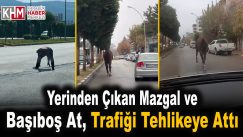 Yerinden çıkan mazgal ve başıboş at trafiği tehlikeye attı