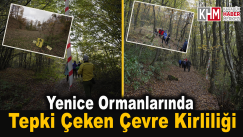 Yenice ormanlarında tepki çeken çevre kirliliği