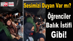 Balık istifi yolculuk kamerada