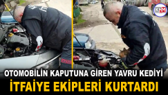 Otomobilin kaputuna giren kedi yavrusunu itfaiye ekipleri kurtardı