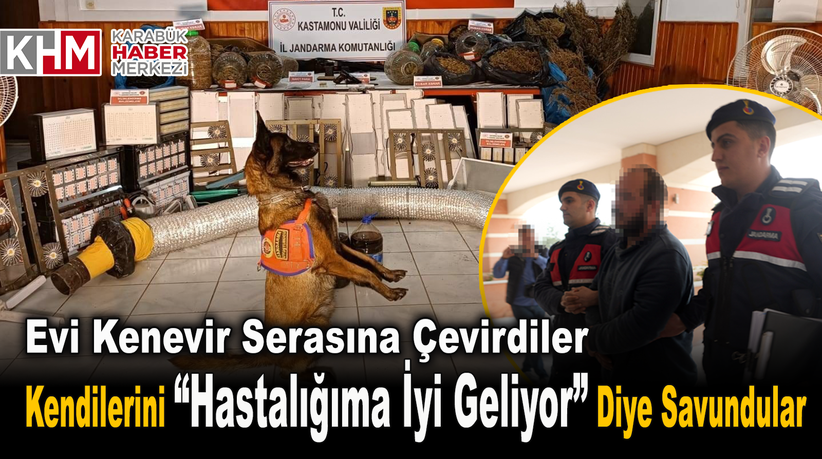 Evlerini kenevir serasına çevirdiler, kendilerini ‘hastalığıma iyi geliyordu’ diyerek savundular