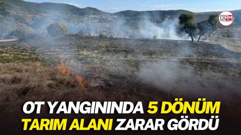 Ot yangınında 5 dönüm tarım alanı zarar gördü
