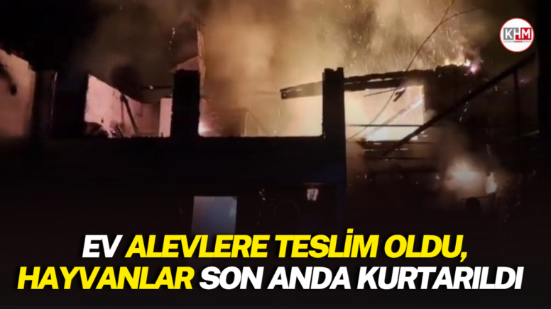 Ev alevlere teslim oldu, hayvanlar son anda kurtarıldı