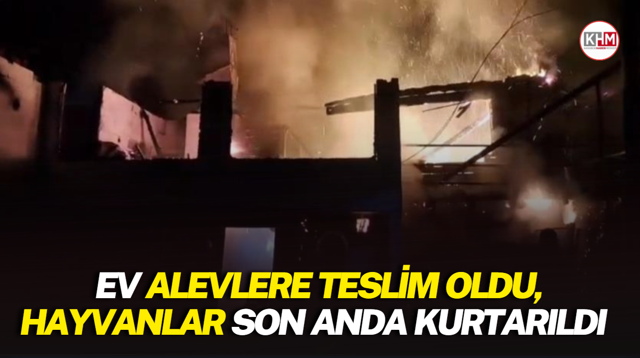 Ev alevlere teslim oldu, hayvanlar son anda kurtarıldı