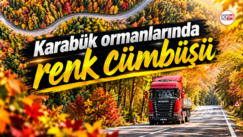 Karabük ormanlarında renk cümbüşü