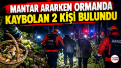 Mantar ararken ormanda kaybolan 2 kişi bulundu