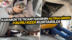 Karabük’te ticari taksinin altına giren yavru kedi kurtarıldı