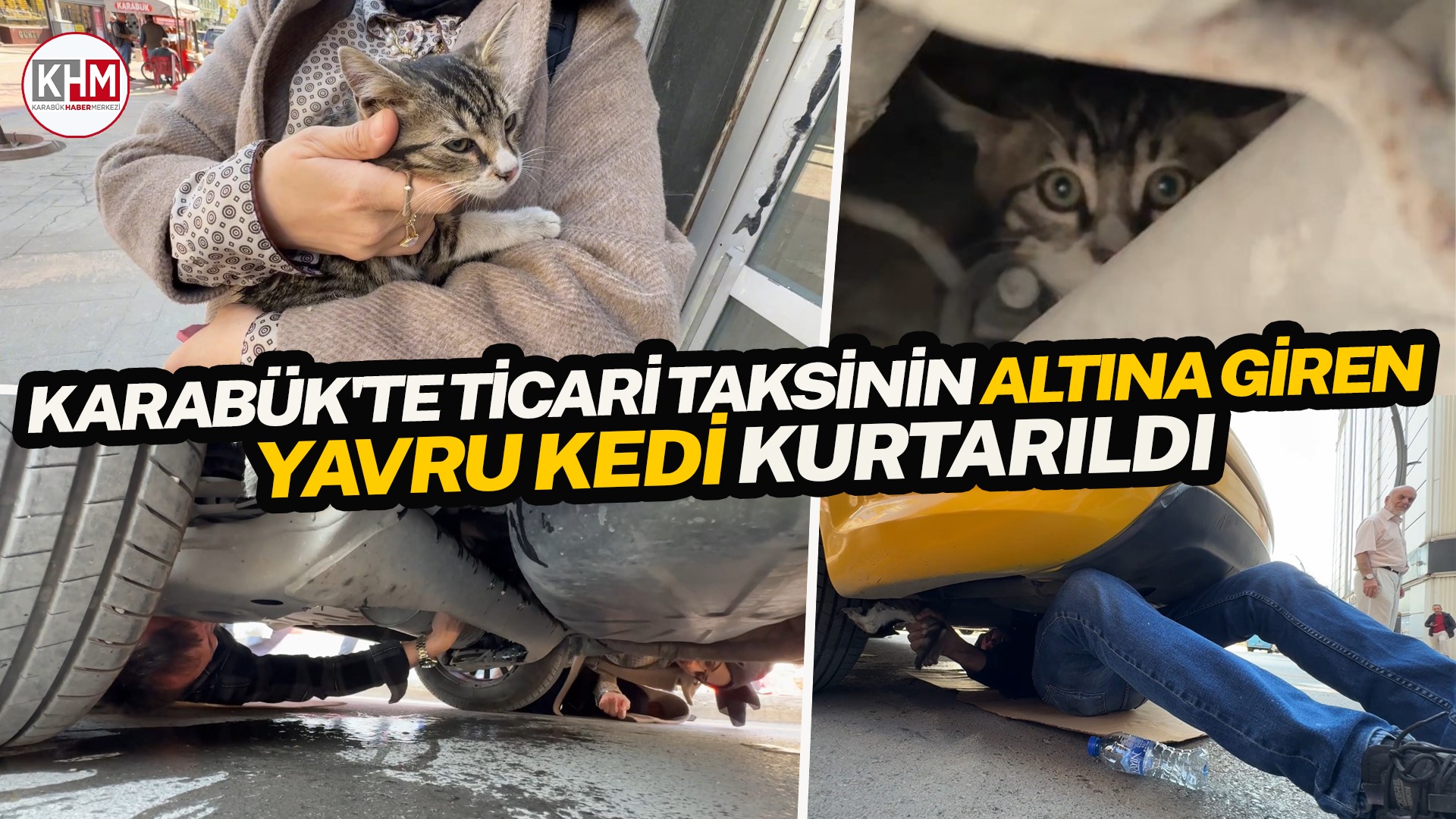 Karabük’te ticari taksinin altına giren yavru kedi kurtarıldı