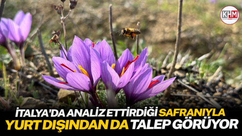 İtalya’da analiz ettirdiği safranıyla yurt dışından da talep görüyor