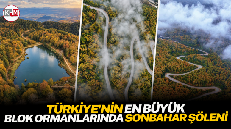 Türkiye’nin en büyük blok ormanlarında sonbahar şöleni
