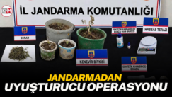 Jandarmadan uyuşturucu operasyonu